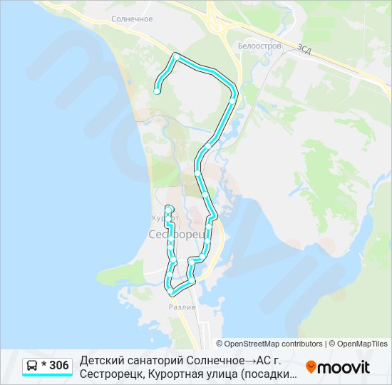 Автобус * 306: карта маршрута