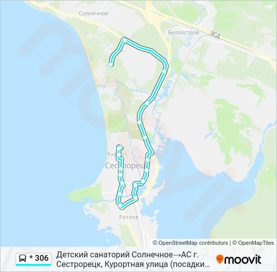 * 306 Bus Line Map