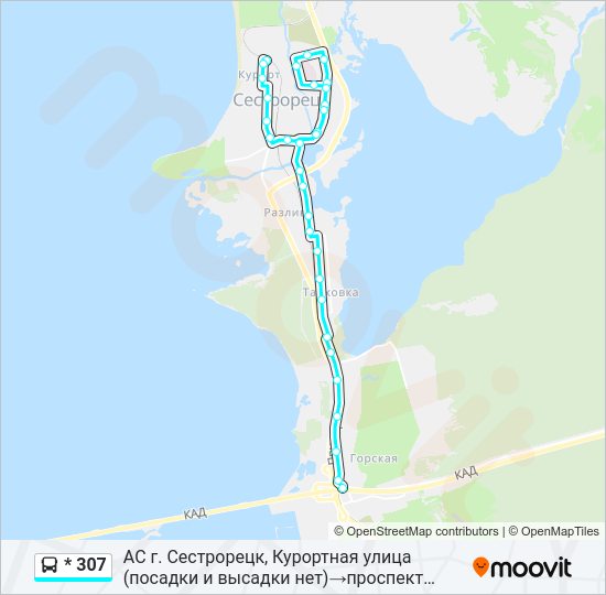 Автобус * 307: карта маршрута