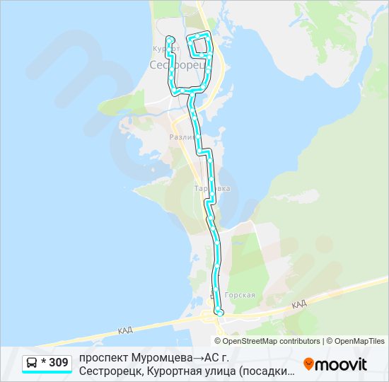 Автобус * 309: карта маршрута