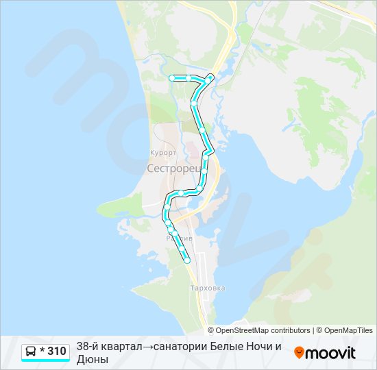 Автобус * 310: карта маршрута