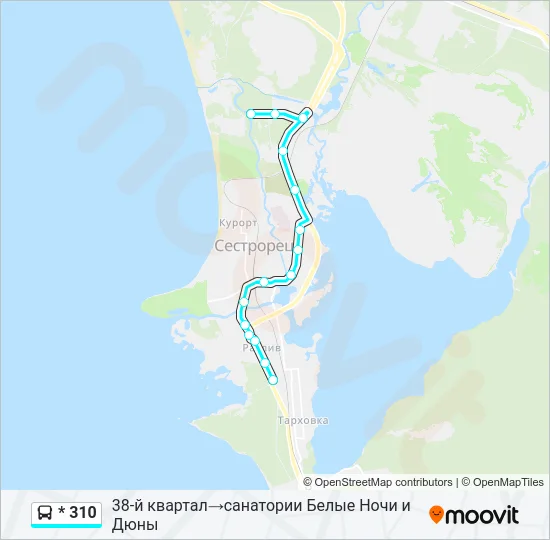 Автобус * 310: карта маршрута