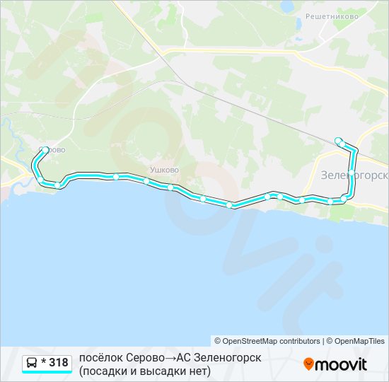 Автобус * 318: карта маршрута