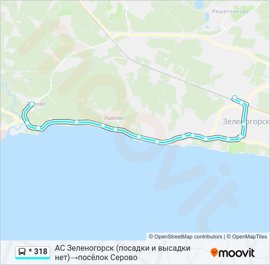 Автобус * 318: карта маршрута
