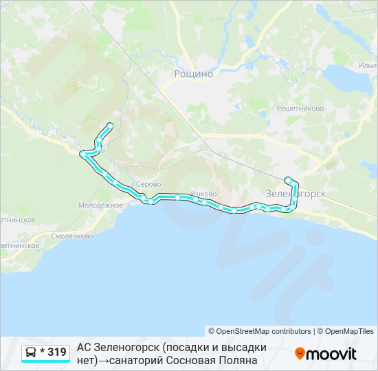 Автобус * 319: карта маршрута