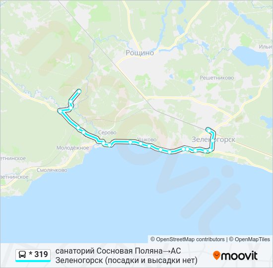 Автобус * 319: карта маршрута