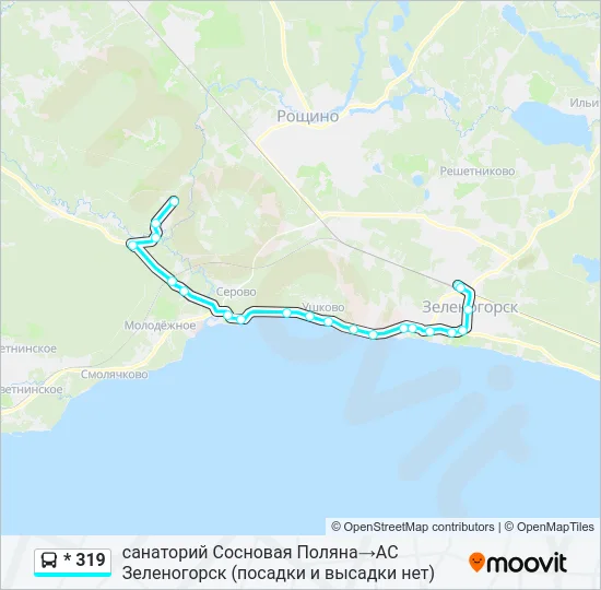 * 319 Bus Line Map