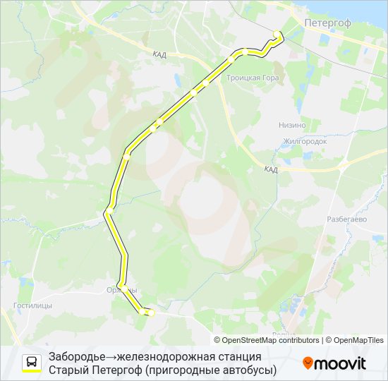 Автобус * 689 (ЛОМОНОСОВСКИЙ РАЙОН): карта маршрута