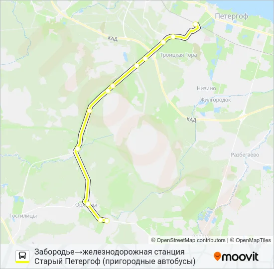 Автобус * 689 (ЛОМОНОСОВСКИЙ РАЙОН): карта маршрута