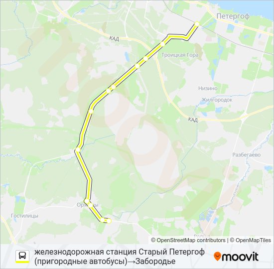 Автобус * 689 (ЛОМОНОСОВСКИЙ РАЙОН): карта маршрута