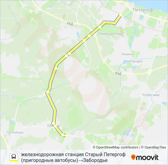 Автобус * 689 (ЛОМОНОСОВСКИЙ РАЙОН): карта маршрута