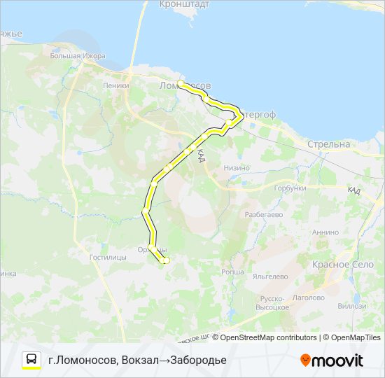 Автобус * 689 (ЛОМОНОСОВСКИЙ РАЙОН): карта маршрута