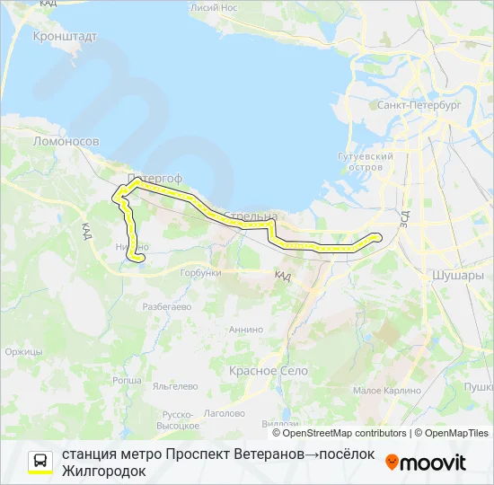 Автобус * 639Б (ЛОМОНОСОВСКИЙ РАЙОН): карта маршрута