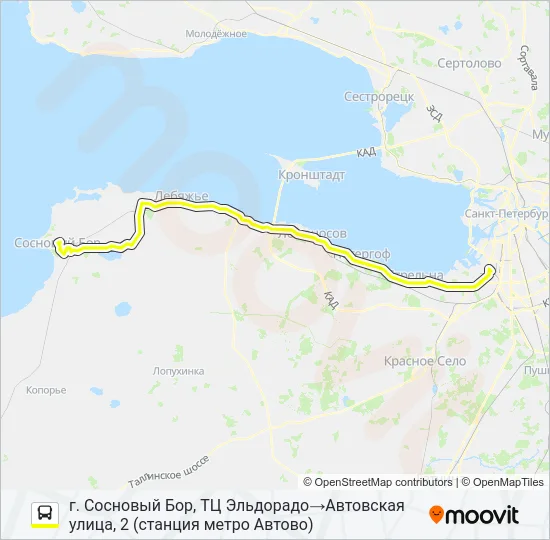 * 401А (СОСНОВЫЙ БОР) Bus Line Map