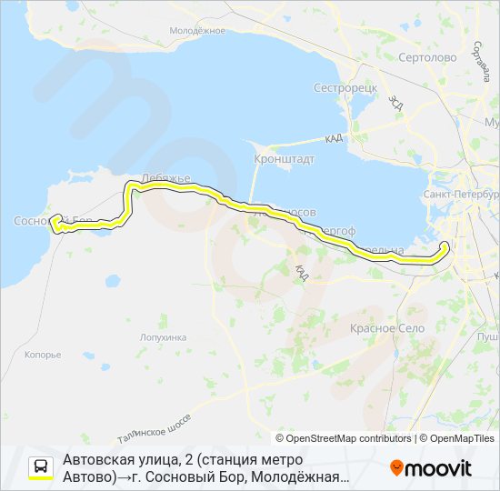 Автобус * 401А (СОСНОВЫЙ БОР): карта маршрута