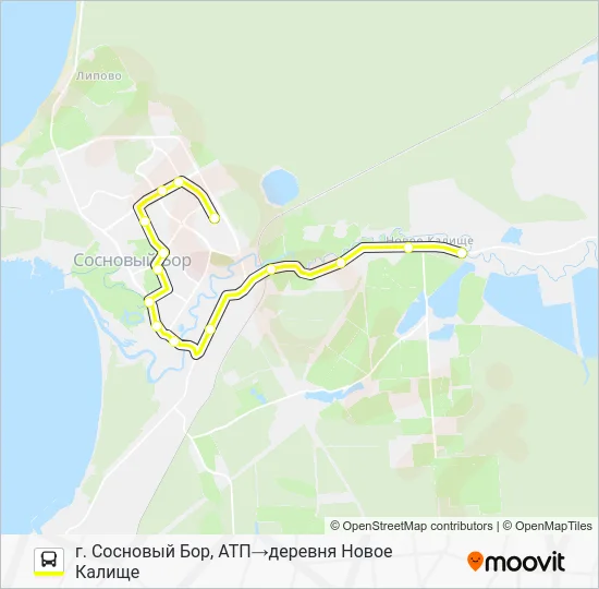 Автобус * 20 (СОСНОВЫЙ БОР): карта маршрута