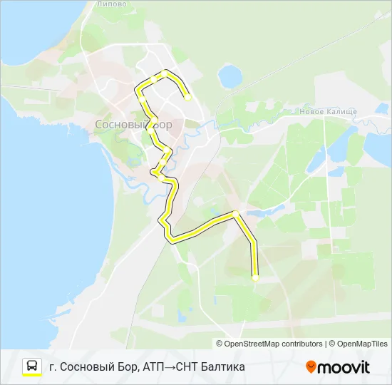 * 21 (СОСНОВЫЙ БОР) Bus Line Map