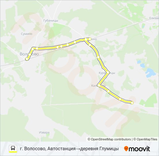 Автобус * 39 (ВОЛОСОВСКИЙ РАЙОН): карта маршрута