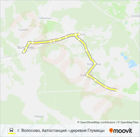 * 39 (ВОЛОСОВСКИЙ РАЙОН) Bus Line Map