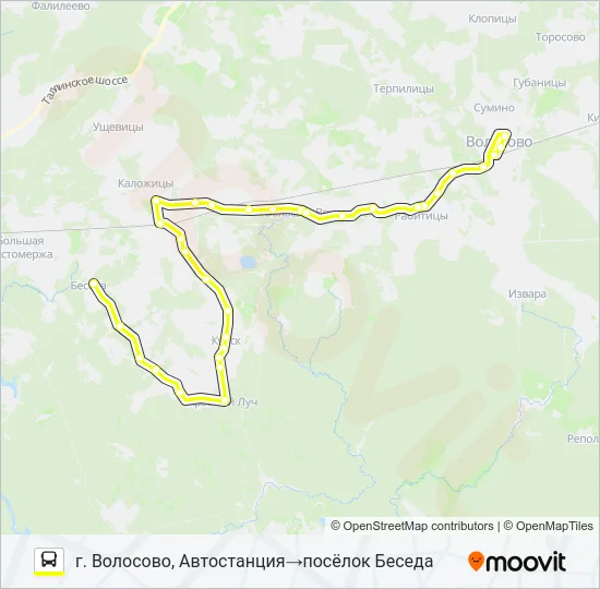 * 41 (ВОЛОСОВСКИЙ РАЙОН) Bus Line Map
