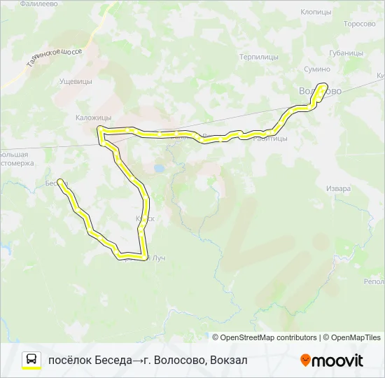 * 41 (ВОЛОСОВСКИЙ РАЙОН) Bus Line Map