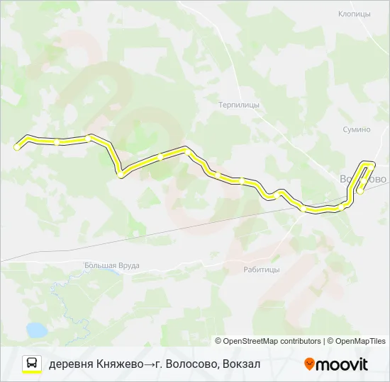 * 45 (ВОЛОСОВСКИЙ РАЙОН) Bus Line Map