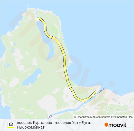 Автобус * 55 (КИНГИСЕППСКИЙ РАЙОН): карта маршрута