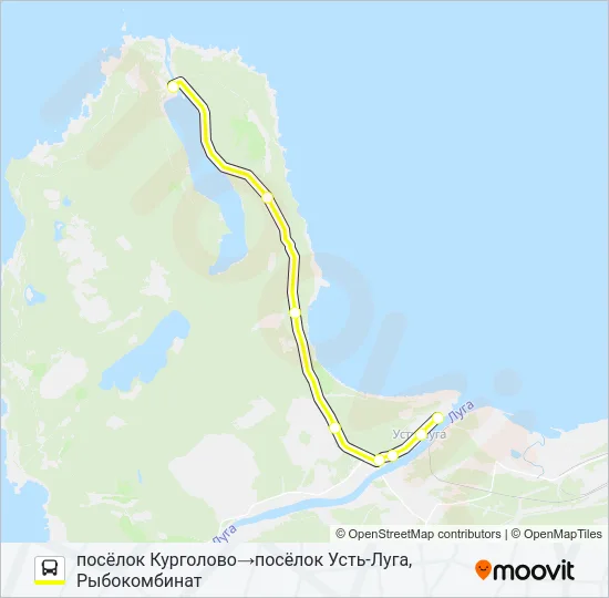 * 55 (КИНГИСЕППСКИЙ РАЙОН) Bus Line Map