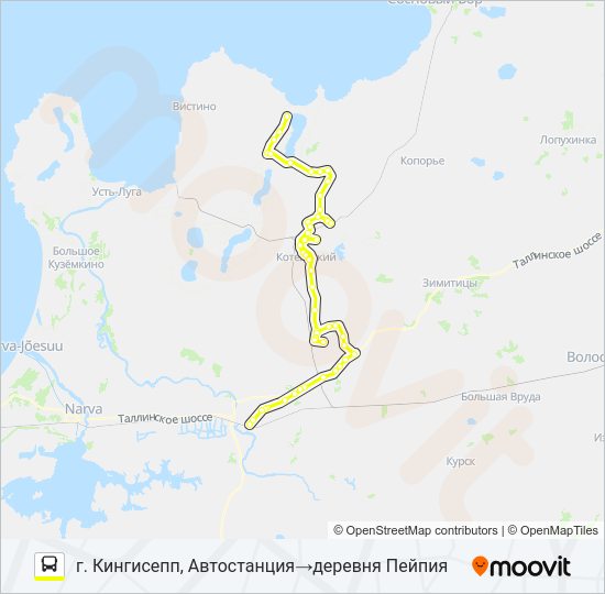 Автобус * 56А (КИНГИСЕППСКИЙ РАЙОН): карта маршрута