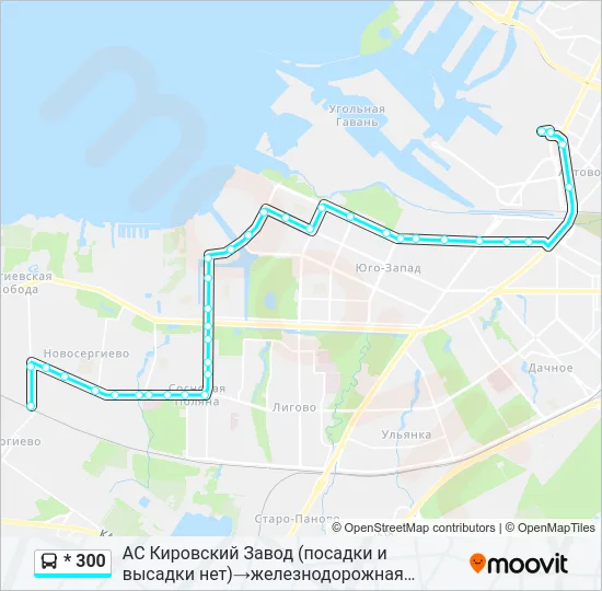 * 300 Bus Line Map