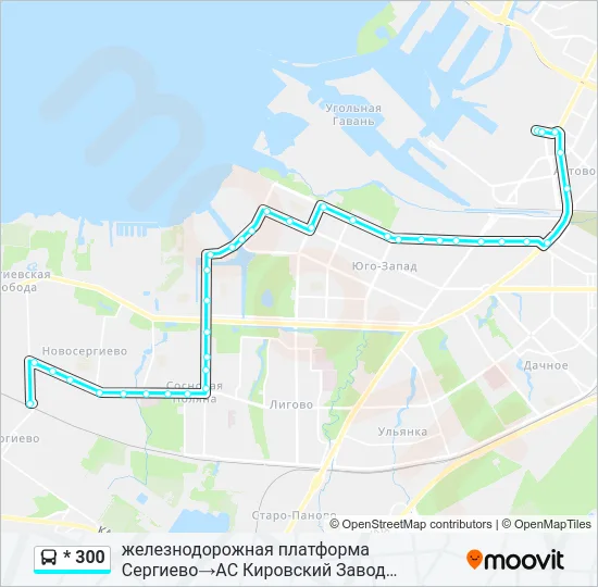* 300 Bus Line Map
