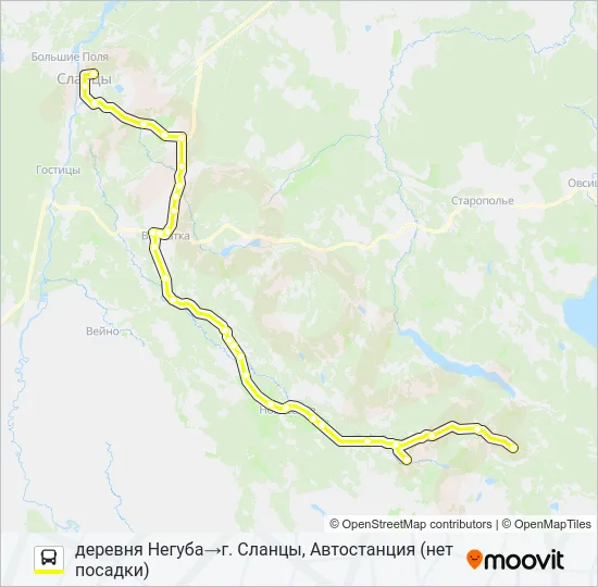Автобус * 91 (СЛАНЦЕВСКИЙ РАЙОН): карта маршрута