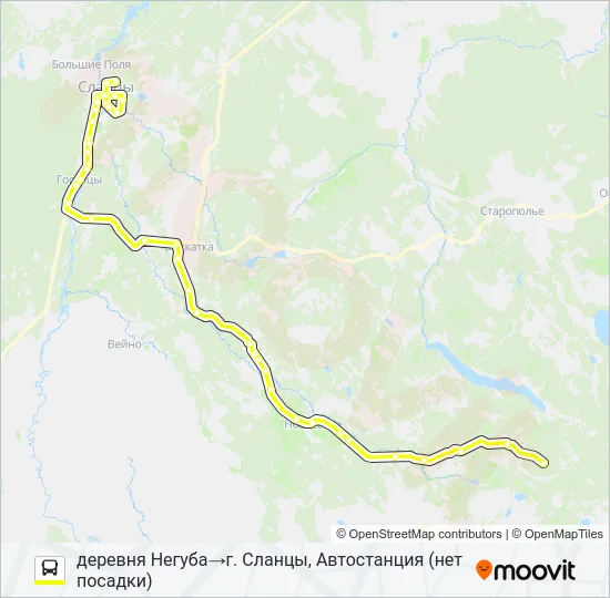 Автобус * 95 (СЛАНЦЕВСКИЙ РАЙОН): карта маршрута