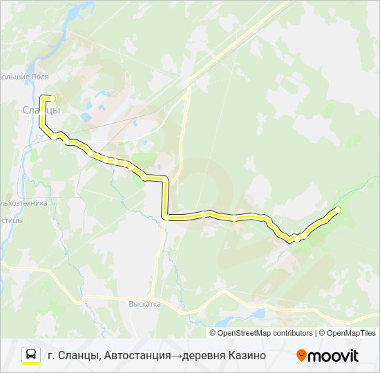 Автобус * 96 (СЛАНЦЕВСКИЙ РАЙОН): карта маршрута