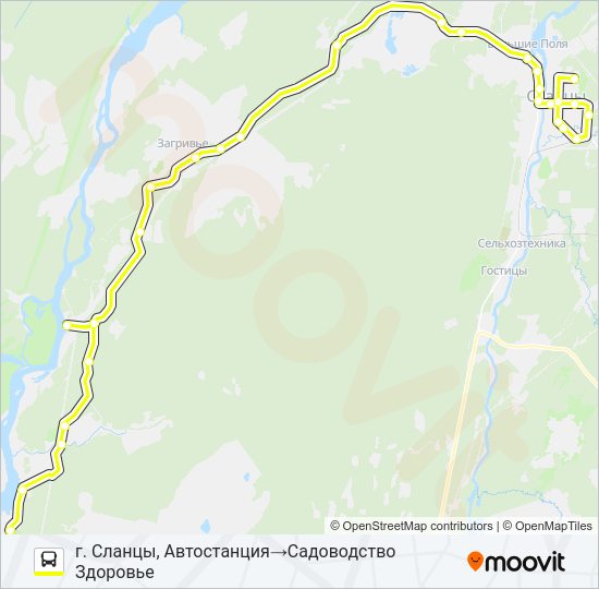 Автобус * 107 (СЛАНЦЕВСКИЙ РАЙОН): карта маршрута