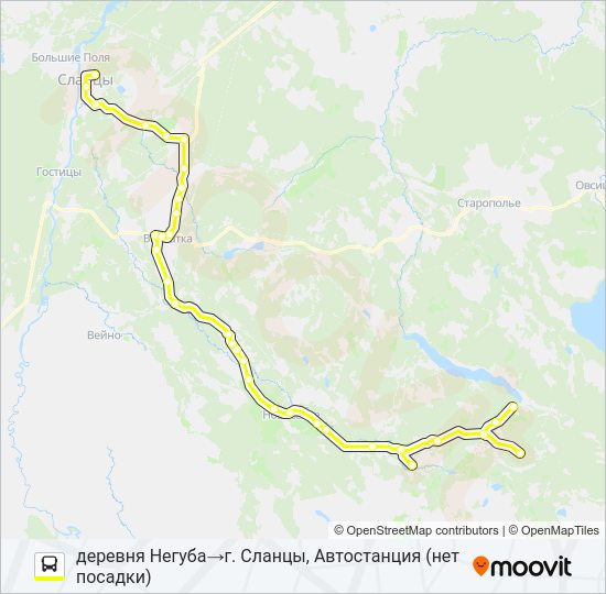 Автобус * 91Б (СЛАНЦЕВСКИЙ РАЙОН): карта маршрута