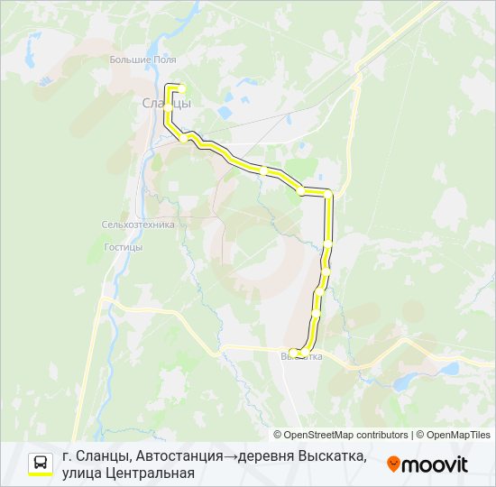 Автобус * 105С (СЛАНЦЕВСКИЙ РАЙОН): карта маршрута