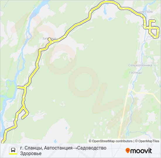 Автобус * 107З (СЛАНЦЕВСКИЙ РАЙОН): карта маршрута
