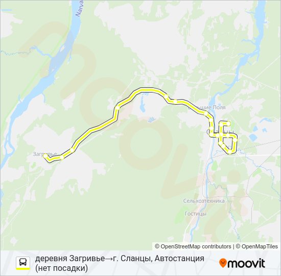 Автобус * 107С (СЛАНЦЕВСКИЙ РАЙОН): карта маршрута