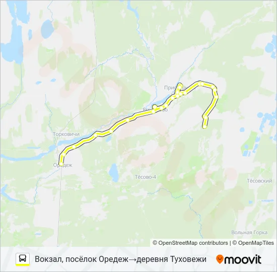 Автобус * 141 (ЛУЖСКИЙ РАЙОН): карта маршрута