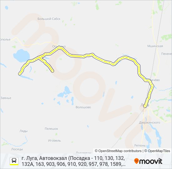 Автобус * 110 (ЛУЖСКИЙ РАЙОН): карта маршрута