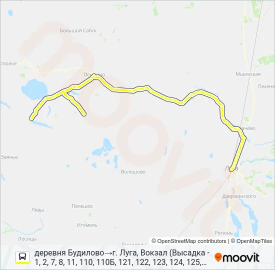 * 110 (ЛУЖСКИЙ РАЙОН) Bus Line Map