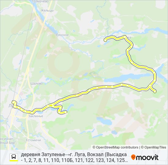 Автобус * 121 (ЛУЖСКИЙ РАЙОН): карта маршрута