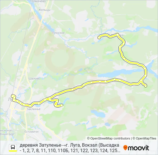 * 121 (ЛУЖСКИЙ РАЙОН) Bus Line Map