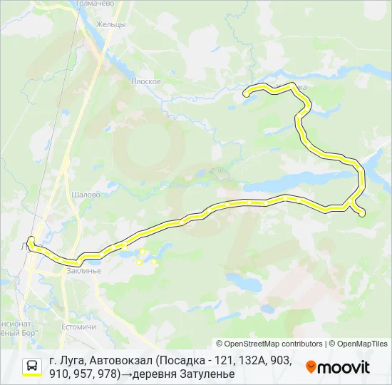* 121 (ЛУЖСКИЙ РАЙОН) Bus Line Map