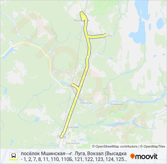 Автобус * 123 (ЛУЖСКИЙ РАЙОН): карта маршрута