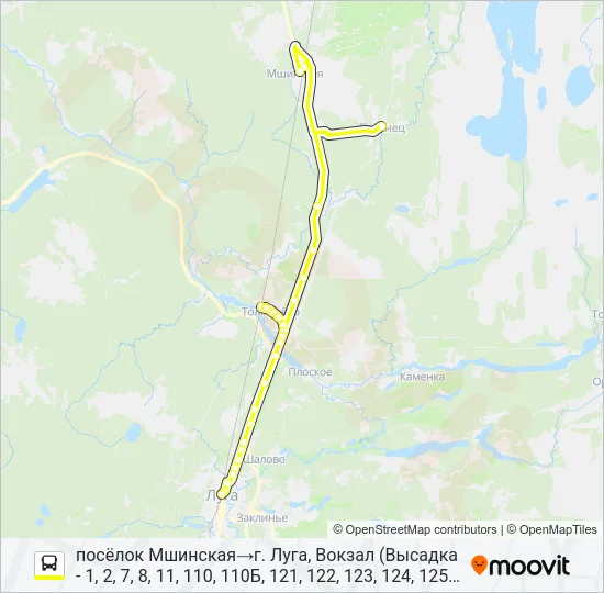 * 123 (ЛУЖСКИЙ РАЙОН) Bus Line Map