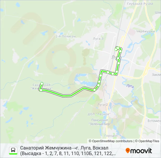 * 125 (ЛУЖСКИЙ РАЙОН) Bus Line Map