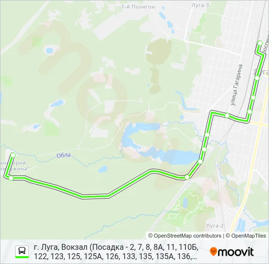 * 125 (ЛУЖСКИЙ РАЙОН) Bus Line Map
