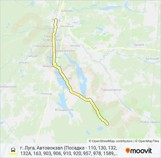 * 132 (ЛУЖСКИЙ РАЙОН) Bus Line Map